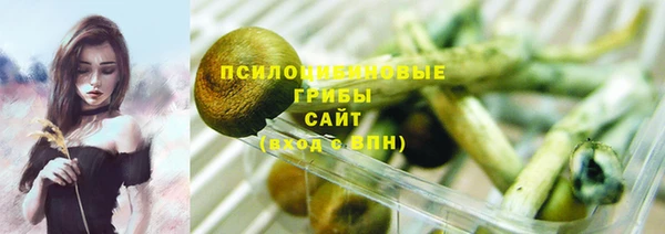 гашик Алзамай