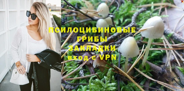 гашик Алзамай