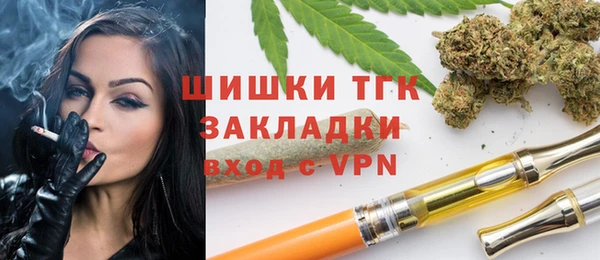 гашик Алзамай